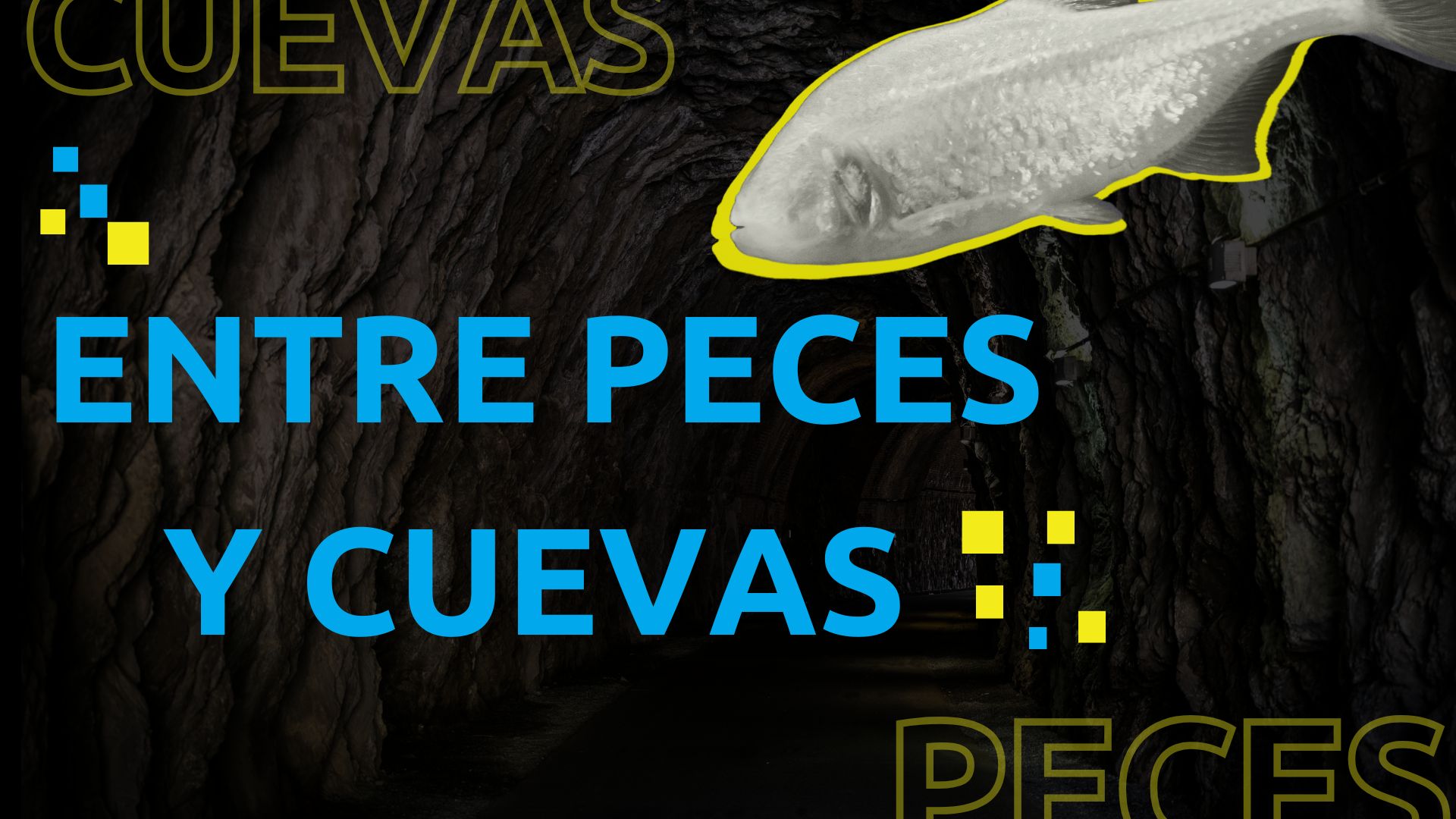 Entre peces y cuevas